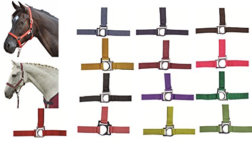 HKM 558486 Halfter Stars, weich unterlegt, Vollblut, dunkelbraun HKM 558486 Halfter Stars, weich unterlegt, Vollblut, dunkelbraun von HKM