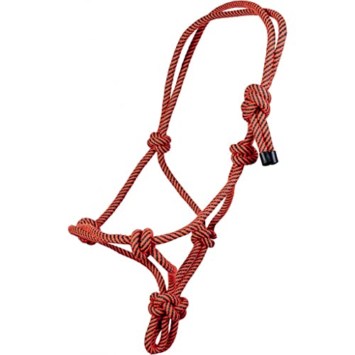 HKM Equestrian Neon Pferdehalfter Koralle Pony HKM Equestrian Neon Pferdehalfter Koralle Pony von HKM