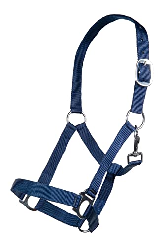 Posten Brisbane Halfter dunkelblau Pony Posten Brisbane Halfter dunkelblau Pony von Posten