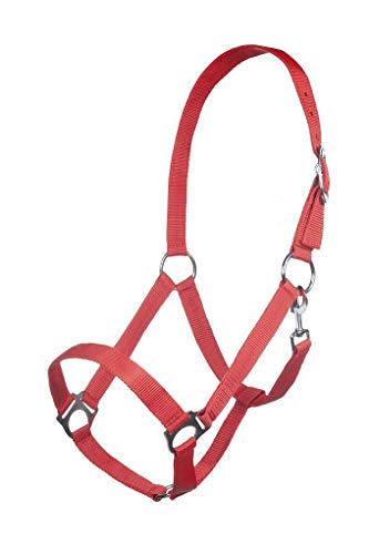 HKM Innsbruck Halfter rot Warmblut von HKM