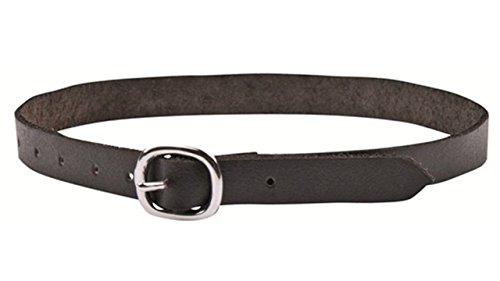 HKM Sporenriemen-1896 schwarz One Size HKM Sporenriemen-1896 schwarz One Size von HKM
