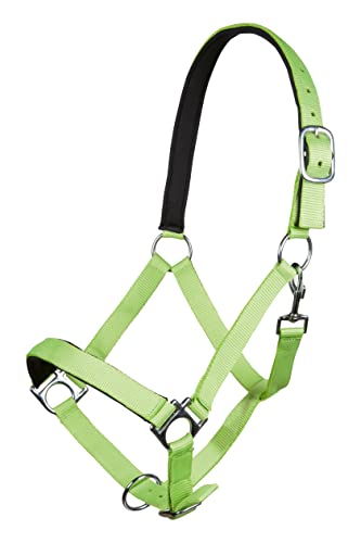 HKM Sports Equipment Halfter -Stars Softice-, weich unterlegt, Neon grün, Warmblut von HKM