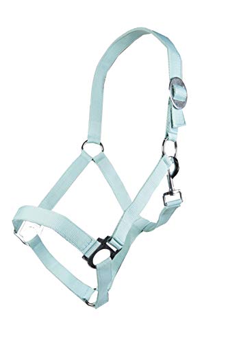 HKM Stars Economy Softice Halfter Aqua Kaltblut HKM Stars Economy Softice Halfter Aqua Kaltblut von HKM
