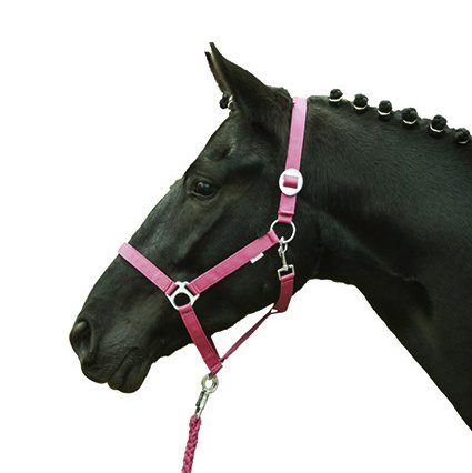 HKM Stars Economy Softice Halfter Petrol Pony HKM Stars Economy Softice Halfter Petrol Pony von HKM