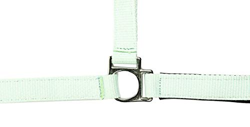 HKM Stars Softice Halfter Aqua Kaltblut HKM Stars Softice Halfter Aqua Kaltblut von HKM