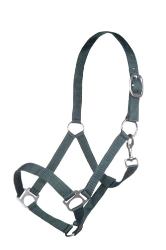 Posten 10978 Brisbane Halfter dunkelgrün Warmblut , Posten 10978 Brisbane Halfter dunkelgrün Warmblut , von Posten