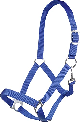 Posten 10978 Brisbane Halfter royalblau Warmblut Posten 10978 Brisbane Halfter royalblau Warmblut von Posten