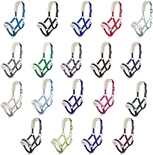 Posten Bischofshofen Halfter & Stricke Lime Pony Posten Bischofshofen Halfter & Stricke Lime Pony von HKM