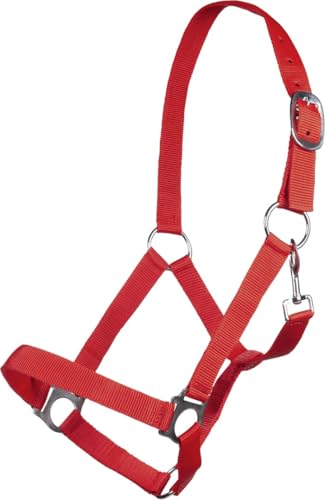 Posten Brisbane Halfter rot Vollblut Posten Brisbane Halfter rot Vollblut von Posten