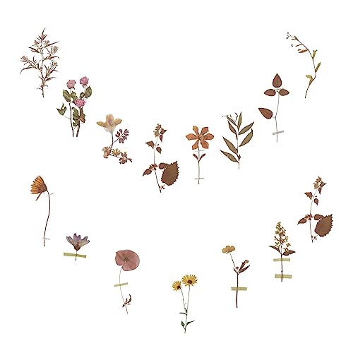HOODANCOS 240 Blatt Aufkleberpaket Für Haustiere Vintage Blumenaufkleber Verschiedene Blumenaufkleber Computeraufkleber Aufkleber-Etiketten Zeitschriftenaufkleber DIY-Aufkleber Das Haustier von HOODANCOS