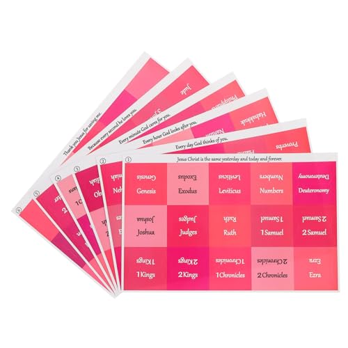 HOODANCOS 6 Blätter Wasserfester Etikettenaufkleber Bibel-Tabs für eine einfache Navigation monatlich klebrige Lesezeichen Bibel Tabs professionelle Klebelaschen Seitenmarkierungen Rosa von HOODANCOS