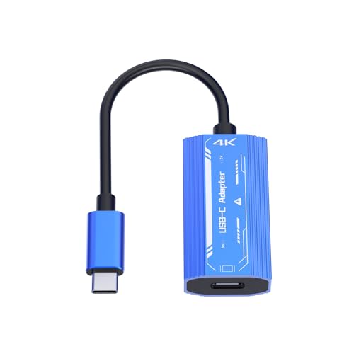 HOOLRZI Brillenadapter Typ C auf Typ C Video PD100W Adapter zum Aufladen von Brillen von HOOLRZI