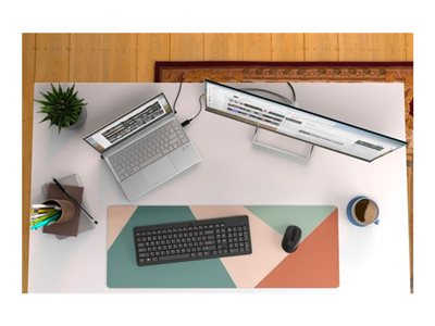 HP 330 Wireless Mouse & Keyboard (P) von HP INC.