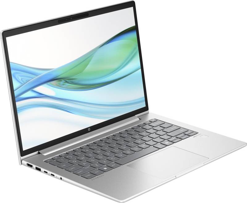 HP ProBook 445 G11 Notebook - AMD Ryzen 5 7535U / 2,9 GHz - Win 11 Pro - Radeon 660M - 8GB RAM - 256GB SSD NVMe - 35,6 cm (14) IPS 1920 x 1200 - Wi-Fi 6E, Bluetooth - Hecht-silberfarben - kbd: Deutsch - mit HP Wolf Pro Security Edition (1 Jahr) (9C0B6EA#ABD) von HP Inc