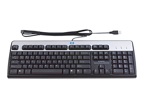 HP Standardtastatur 2004 Tastatur USB 105 Tasten MS WXP Schwarz-Silber von HP