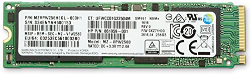 HP ZTrboDrv 256 GB SED Z4/6 G4 TLC SSDKit Z4 6/M.2 Module in to M2 Slot on Mother Board + Heatsink von HP