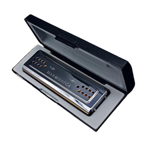 Mundharmonika 24 Loch Polyphone Doppelseitige CG Tune Tremolo Mundharmonika von HQWBVD