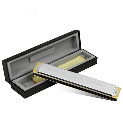 Mundharmonika 24 Löcher Tremolo Mundharmonika Polyphonie Diatonisch C Key Silber(Rising D) von HQWBVD