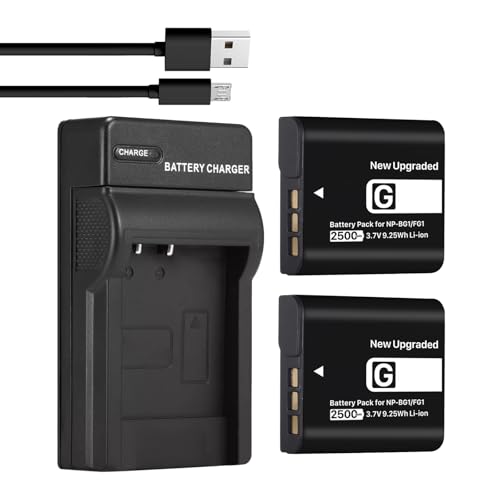 2500mAh Akku (2er-Pack) & USB-Ladegerät für Sony NP-BG1 NPFG1 NP-FG1 NPBG1 und für Cyber-Shot DSC-W120 W150 W220 DSC-H3 H7 H9 H10 H20 H50 H55 H70 DSC-HX7V DSC- C-HX30V DSC-HX9V DSC-HX10V DSC-HX5V von HUAENG