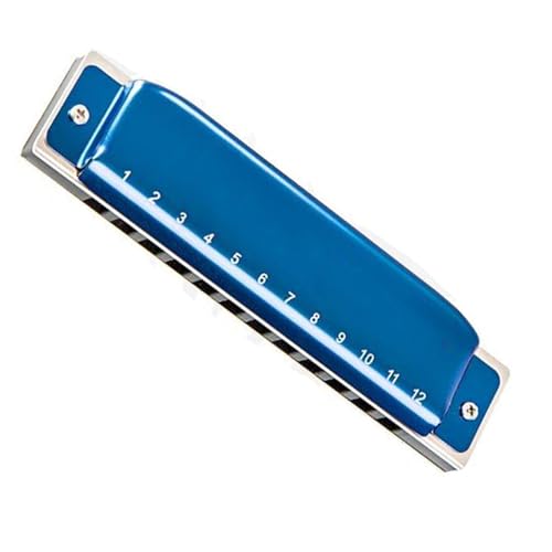 12-Loch-Blues-Mundharmonika, modisches blaues Edelstahl-Körperinstrument, geeignet für Anfänger (Color : D) von HUANLIN