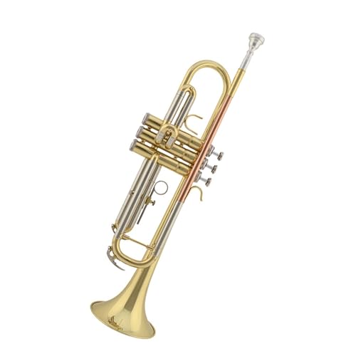Trompete B-Dur lackiertes Goldtrompete-Trompetenblasinstrument aus Messing mit flachem Mund von HUNYNB