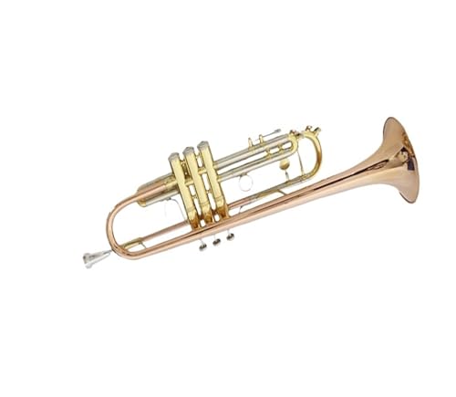 Trompete Phosphorbronze-Trompete B-Trompete Student professioneller Anfänger allgemeines Blechblasinstrument von HUNYNB
