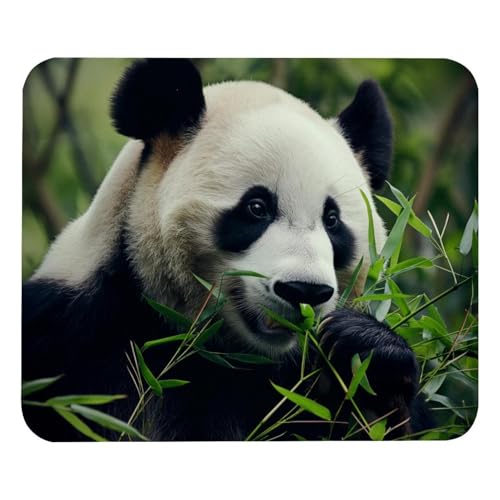 HXYWQA Mauspad Niedlicher Panda rutschfeste Gummibasis Mausmatte Desktop Mauspad Für Büro Laptop HXYWQA Mauspad Niedlicher Panda rutschfeste Gummibasis Mausmatte Desktop Mauspad Für Büro Laptop von HXYWQA