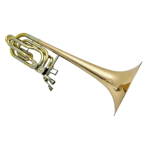 Altposaune Bb F Posaune Zwei Kolben Phosphorbronze Messing Beschichtet Mit Etui von HYLQZAT