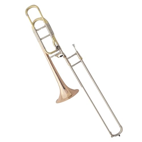 Altposaune Phosphorbronze Tenor Tuning Posaune Instrument BF Tune Teleskoprohr Anfänger Prüfungsband von HYLQZAT