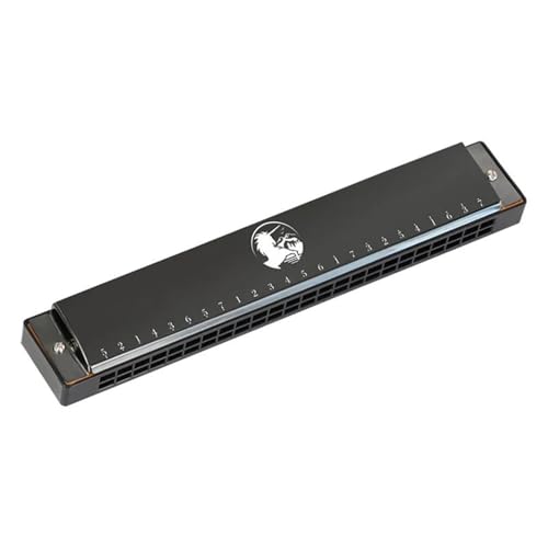 HYLQZAT Mundharmonika Für Erwachsene 24 Loch C Tonart Polyphone Diatonische Mundharmonika Professioneller Leistungstyp(Voice Black) von HYLQZAT