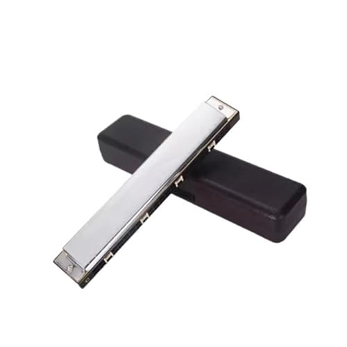 Mundharmonika Für Erwachsene 24 Loch Polyphone C Mundharmonika Blasinstrument Für Erwachsene(Silver) von HYLQZAT
