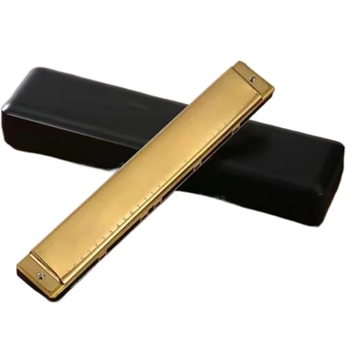 Mundharmonika Für Erwachsene 28 Loch Polyphone Akzentmundharmonika Blasinstrument Für Erwachsene Und Anfänger(Type 2) von HYLQZAT