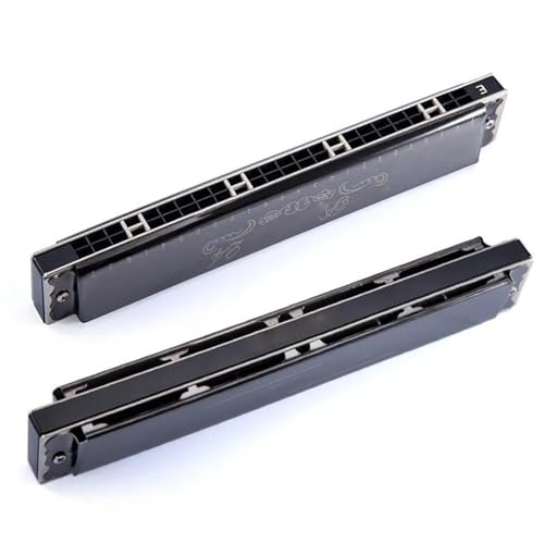 Mundharmonika Für Erwachsene Anfänger 24 Loch C Tonart Polyphone Mundharmonika Professionelle Leistung(Black) von HYLQZAT