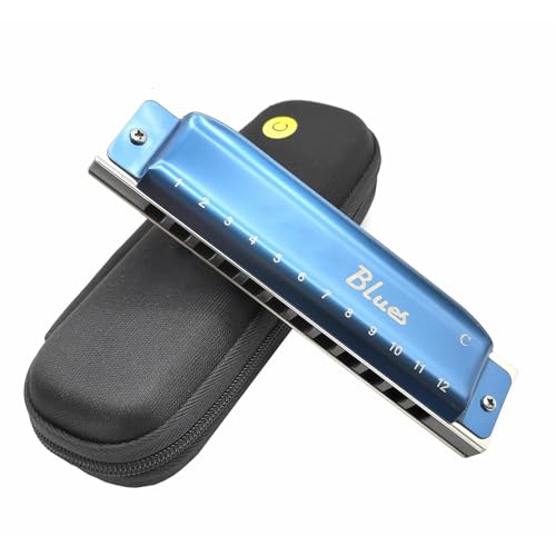 Mundharmonika Für Erwachsene Anfänger Erwachsene Blues 12 Loch Professionelle Diatonische Mundharmonika C Ton Aluminium Kamm(Type2) von HYLQZAT