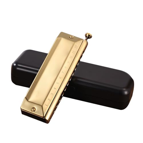 Mundharmonika Für Erwachsene Chromatische Mundharmonika 12 16 Löcher Professionelles Musikinstrument(Type 3) von HYLQZAT