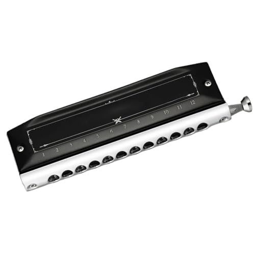 Mundharmonika Für Erwachsene Chromatische Mundharmonika Für Musikliebhaber Tonart C 10 Löcher 20 Töne(1248) von HYLQZAT