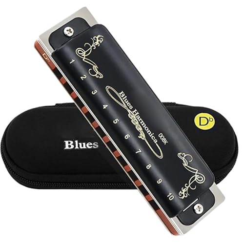 Mundharmonika Für Erwachsene Diatonische Mundharmonika Für Erwachsene Professionelle Leistung 10 Löcher 20 Töne Blues(Key of Db) von HYLQZAT