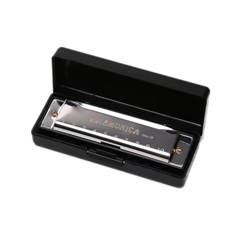 Mundharmonika Für Erwachsene Diatonische Mundharmonika In C Tonart 10 Löcher Mit Instrumentenkoffer Für Anfänger(Silver) von HYLQZAT