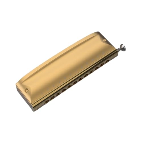 Mundharmonika Für Erwachsene Geeignet Für Anfänger Und Erwachsene Chromatische Mundharmonika Mit 12 Löchern(Gold C) von HYLQZAT