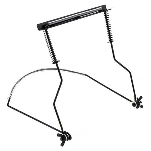 Mundharmonika Für Erwachsene Mundharmonika Für Anfänger Und Erwachsene 10 Und 24 Löcher 8K Titan Tremolo Tonart C(Neck Holder) von HYLQZAT