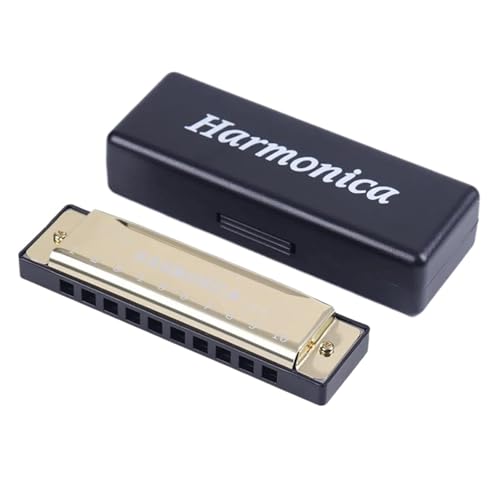 Mundharmonika Für Erwachsene Mundharmonika Für Erwachsene Tonart C 10 Löcher Diatonisch(Golden) von HYLQZAT