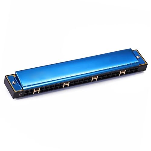 Mundharmonika Für Erwachsene Music Lover Blues Professionelle Mundharmonika 24 Löcher C Ton(Type3) von HYLQZAT