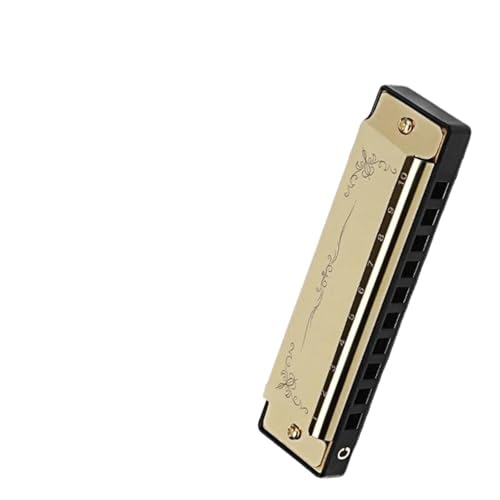 Mundharmonika Für Erwachsene Professionelle 10 Loch Blues Mundharmonika Mit Diatonischer Tonleiter In C(Gold) von HYLQZAT