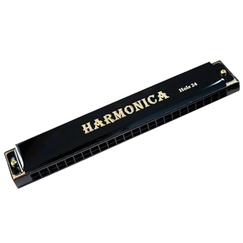 Mundharmonika Für Erwachsene Professionelle 24 Loch Mundharmonika In C Tonart Mit Etui(Black) von HYLQZAT
