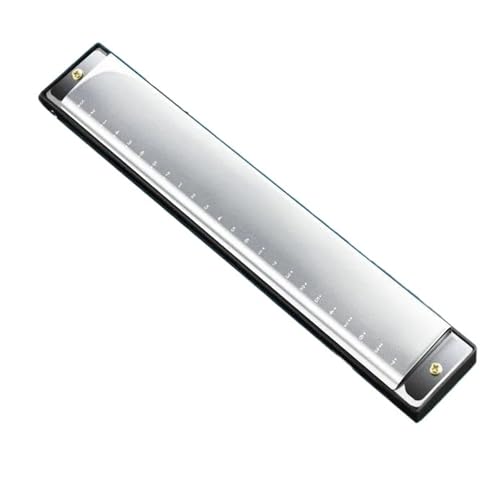 Mundharmonika Für Erwachsene Professionelle 24 Loch Tremolo Mundharmonika Tonart C(Silver) von HYLQZAT