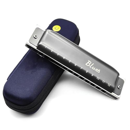 Mundharmonika Für Erwachsene Professionelle Diatonische Blues Mundharmonika Für Erwachsene Mit 12 Löchern C Tonart Aluminiumkamm(Type3) von HYLQZAT