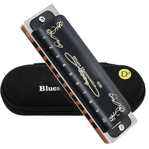 Mundharmonika Für Erwachsene Professionelle Diatonische Mundharmonika Mit 10 Löchern Und 20 Tönen Für Blues(Key of Db) von HYLQZAT