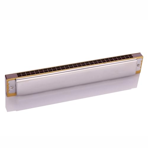 Mundharmonika Für Erwachsene Professionelles Spielniveau 28 Loch C Mundharmonika Phosphorbronze Gong Klangqualität Schön Dick(Type1) von HYLQZAT