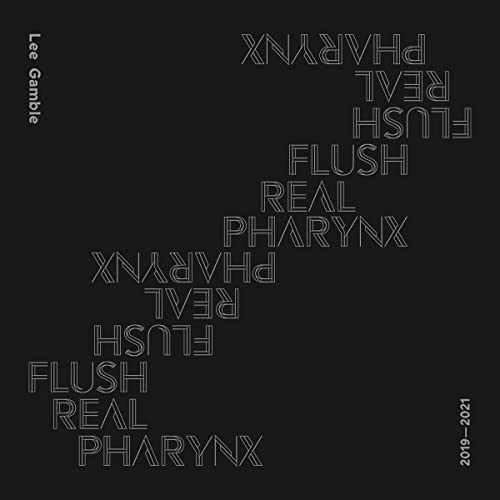 Flush Real Pharynx 2019 - 2021 von HYPERDUB