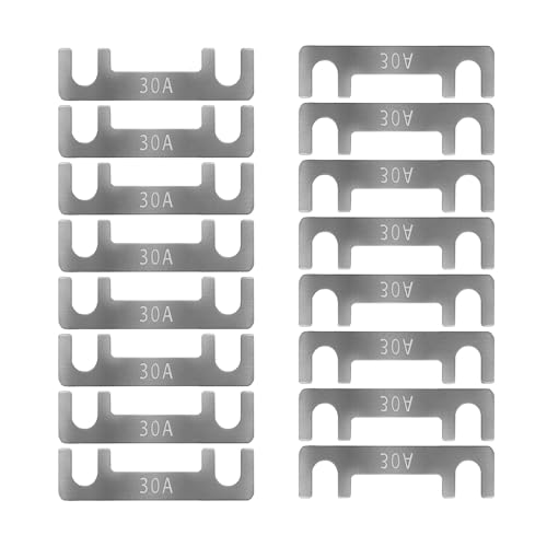 Streifensicherungen Blattsicherung Flachsicherungsstreifen 16 Stk Auto Sicherung 30A 40A 50A 60A 70A 80A 100A 110A 125A 150A Maximale Spannung bis 32V, für PKW Wohnmobil (30A) von HYRYC